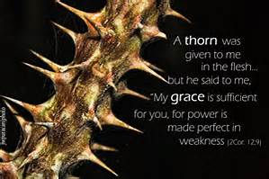 thorn